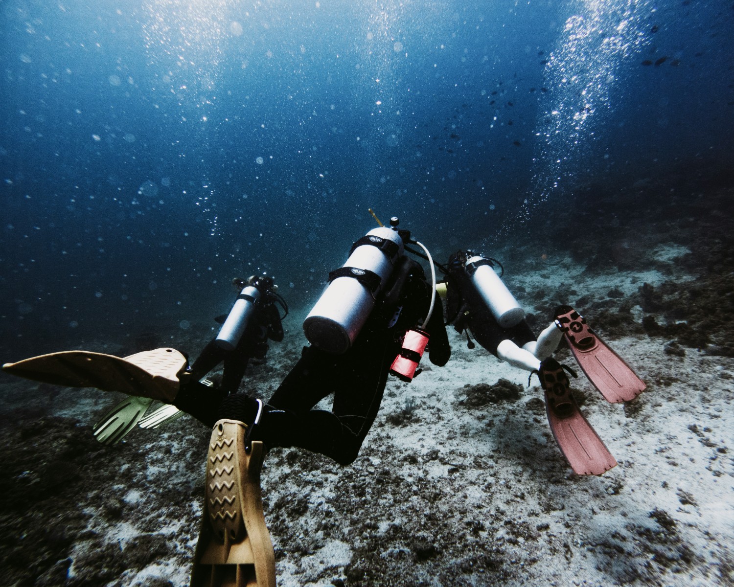 Scuba diving expedition and underwater discovery