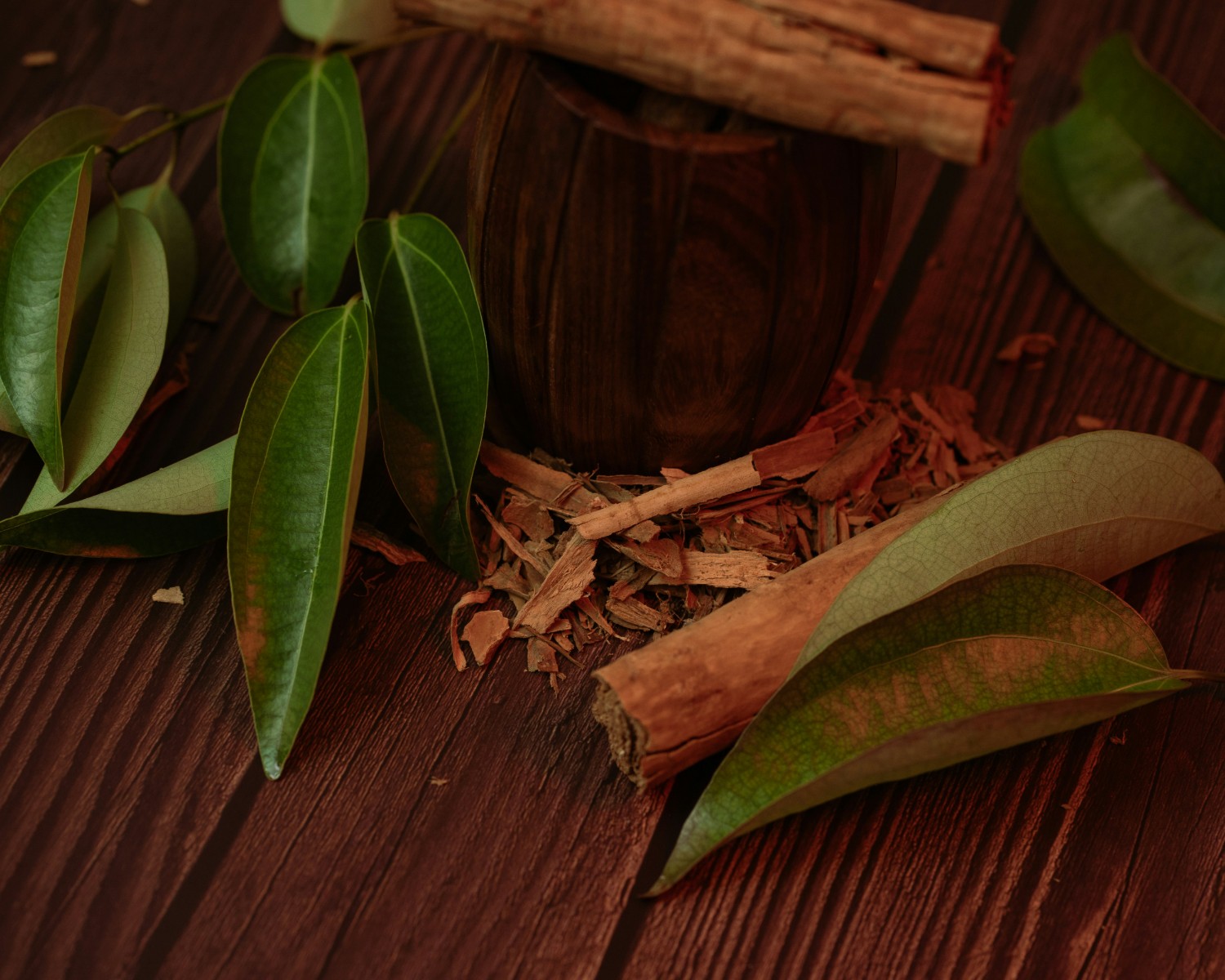 Herbal medicinal plant cultivation in Kerala Ayurvedic gardens