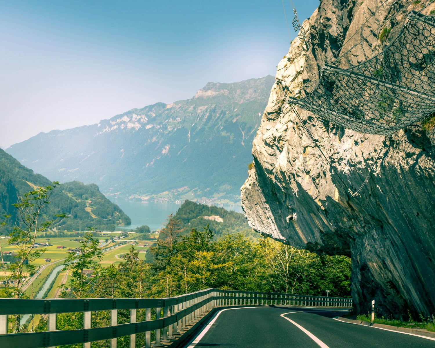 Lush indigenous forests along the scenic Garden Route