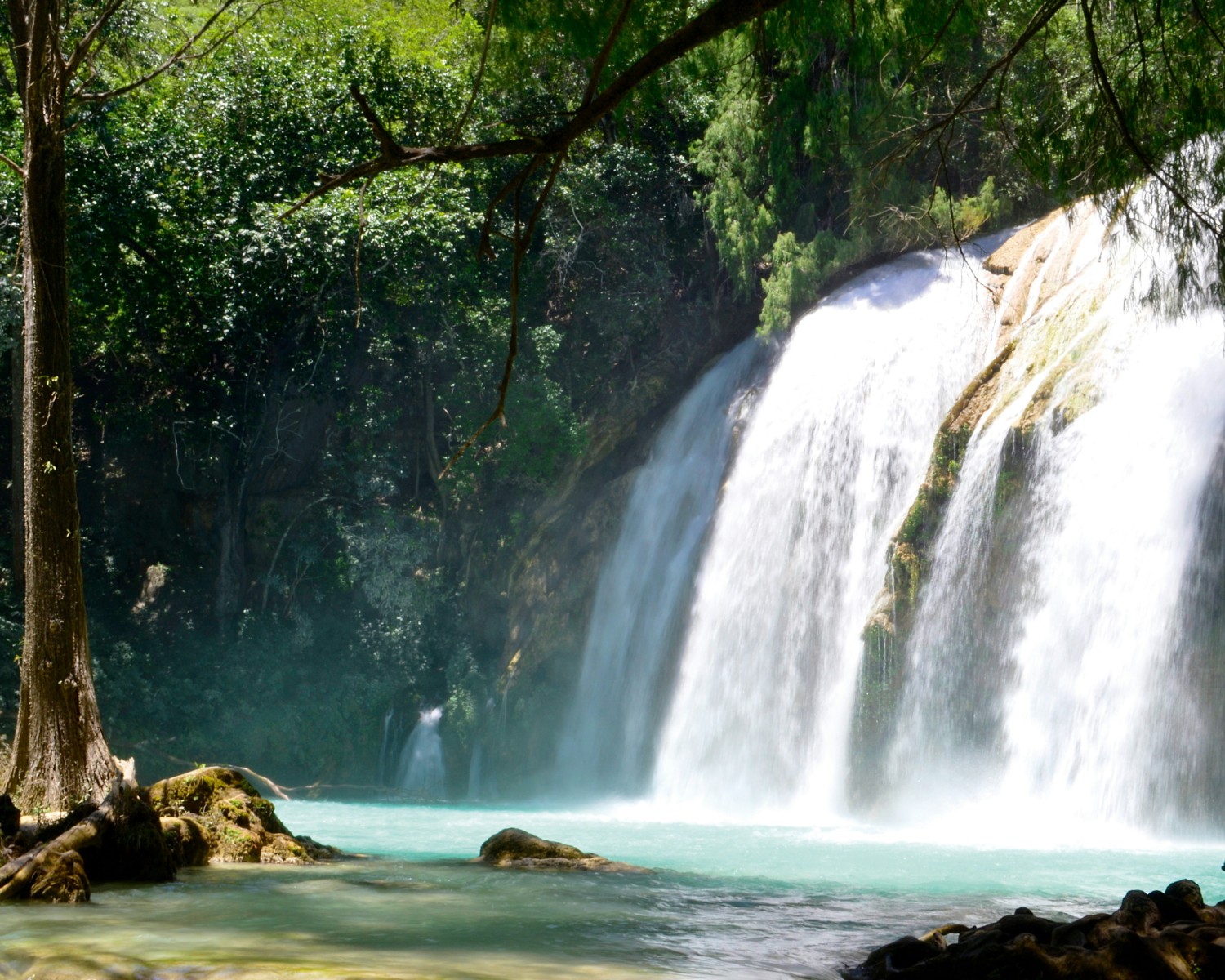 Kawasan Falls turquoise waters canyoneering adventure Cebu