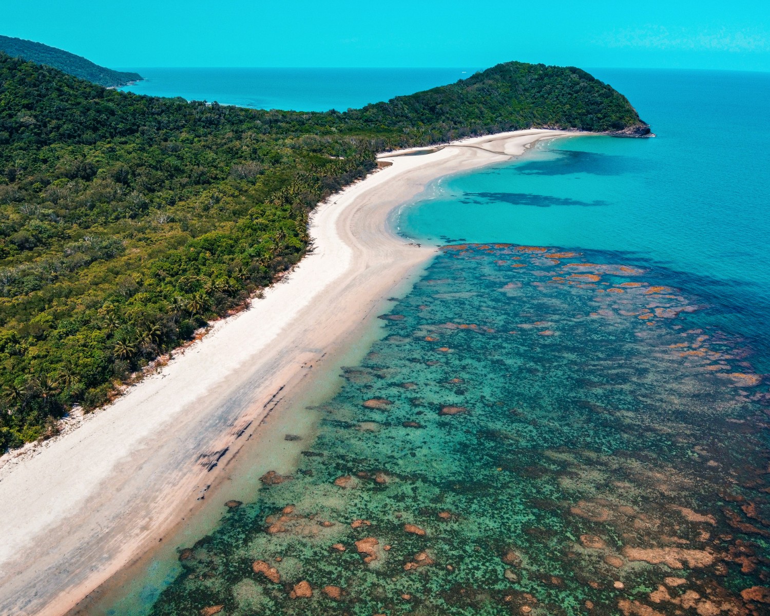 Vibrant coral formations and tropical fish in Great Barrier Reef waters
