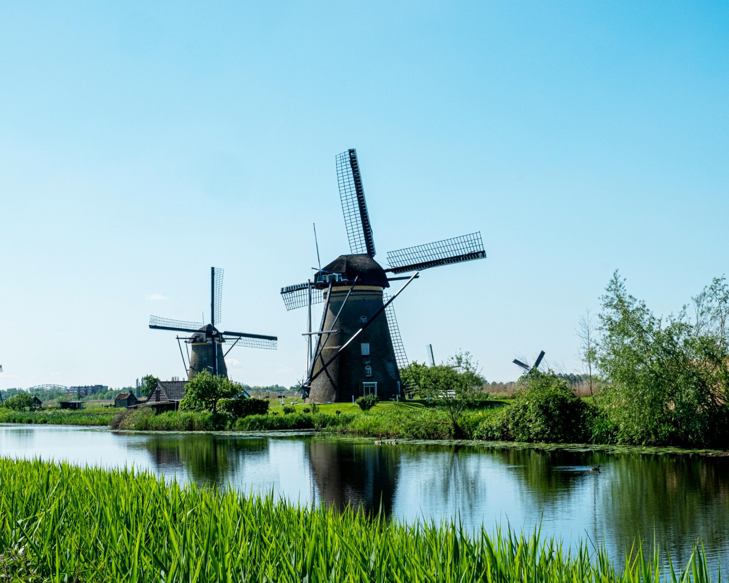 Kinderdijk's 19 windmills with romantic canal landscape