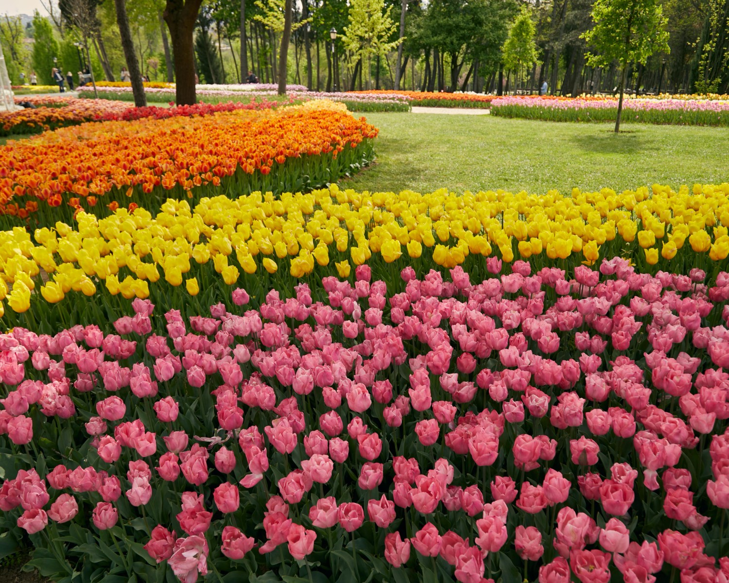 Keukenhof Gardens with vibrant tulip displays