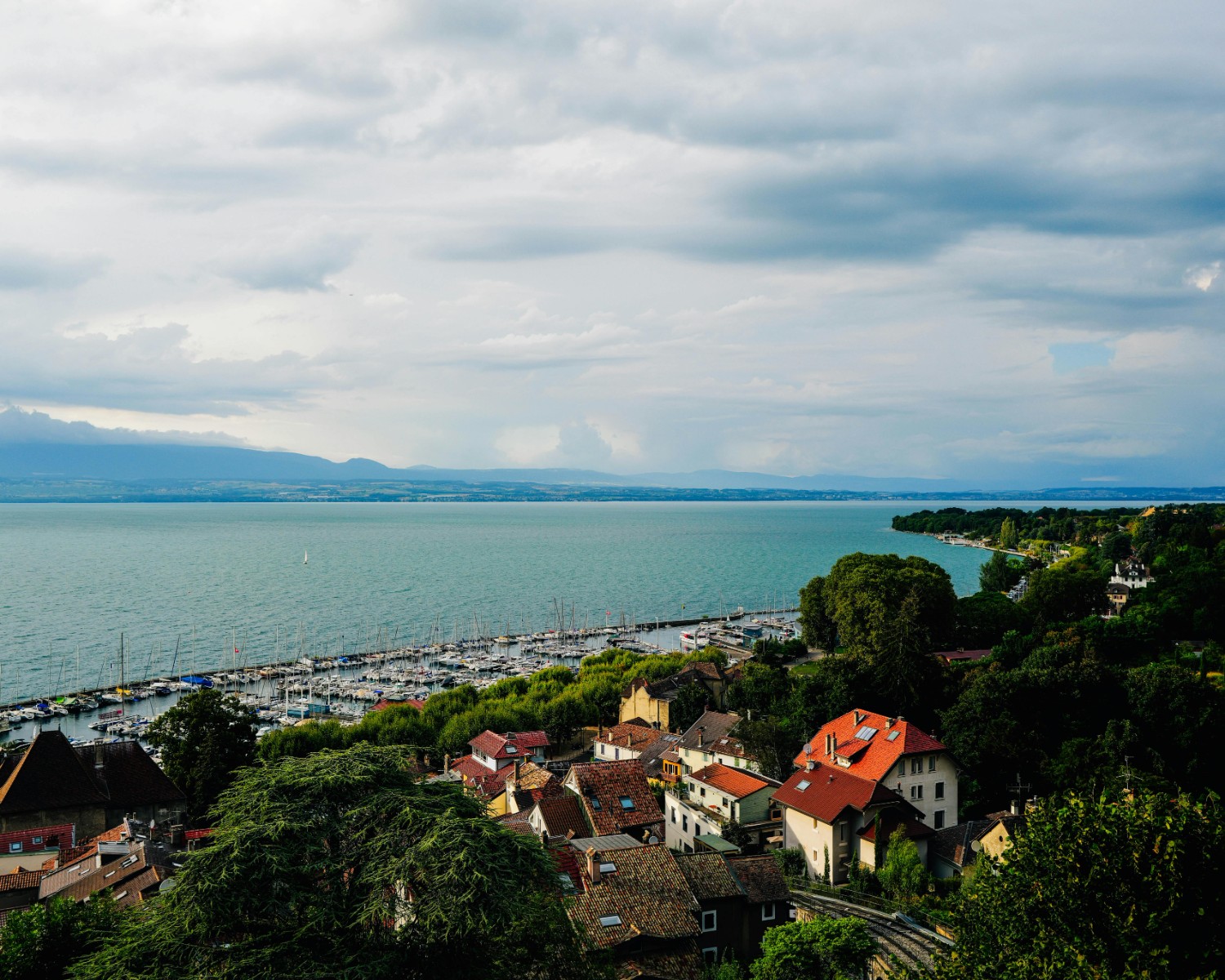 Lake Balaton panorama with vineyards cascading to the water
