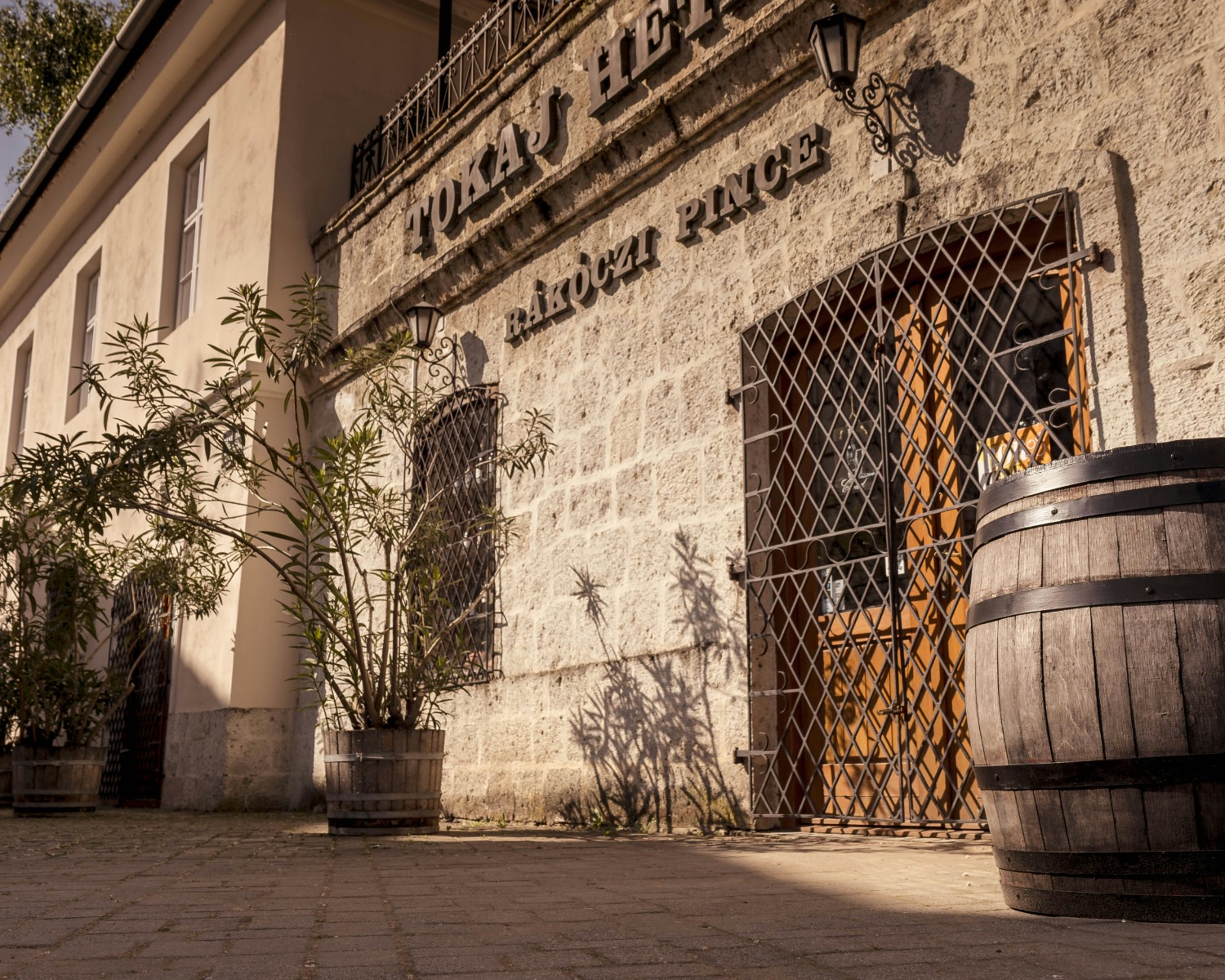 Traditional wine cellars carved into volcanic bedrock