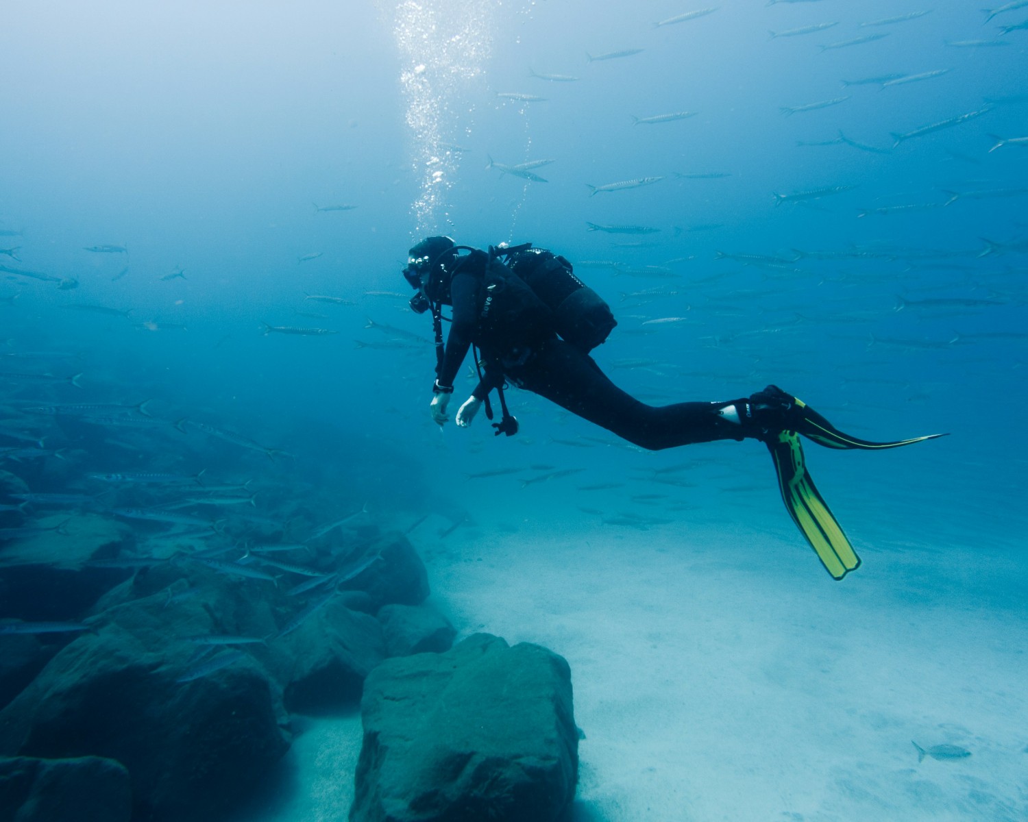 Scuba diving in pristine Seychelles coral reefs