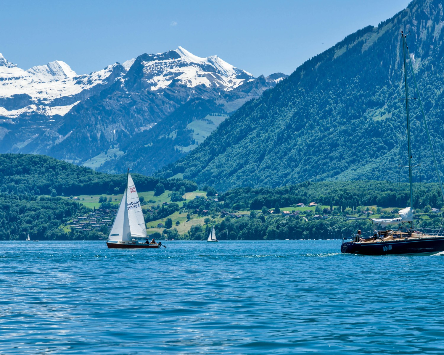 Twin lakes (Thun and Brienz) from elevated Interlaken viewpoint with glacial Alps