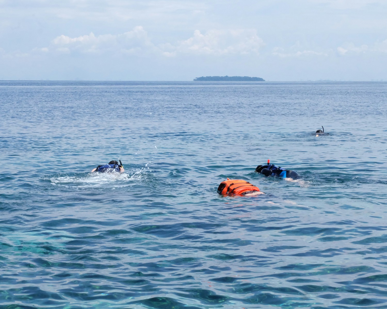 Scuba diving among vibrant coral reefs