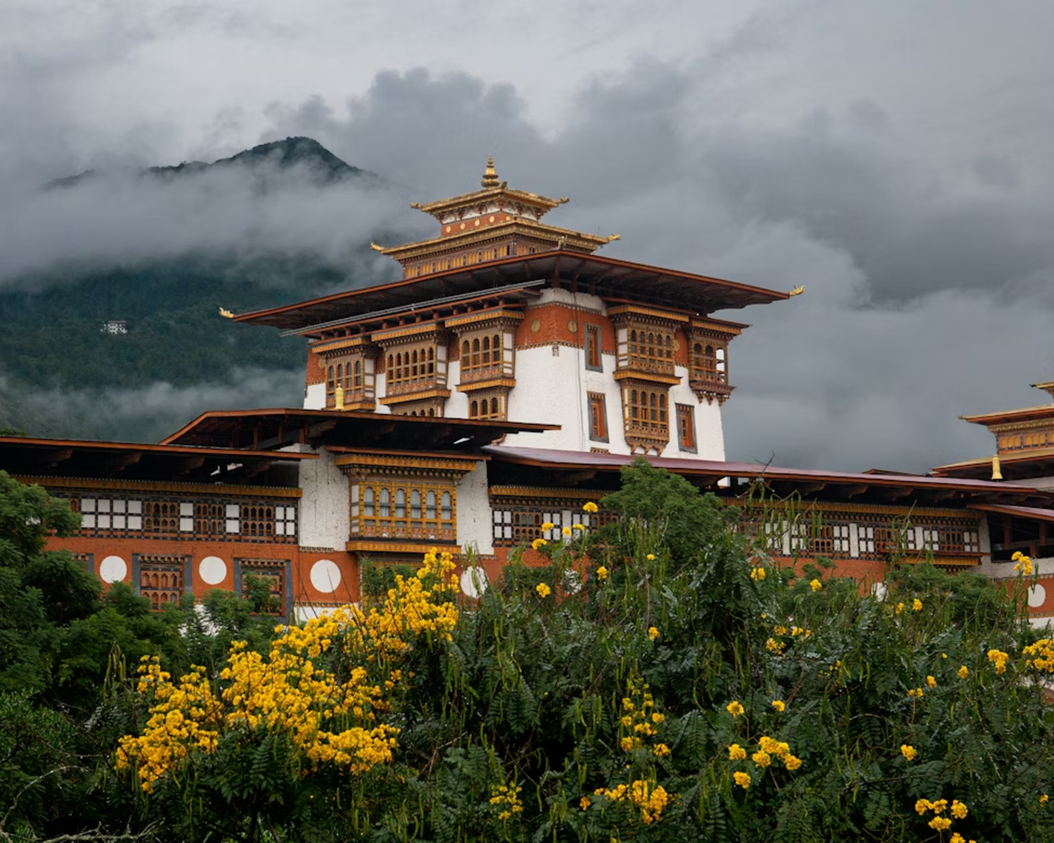Punakha Dzong at river confluence with jacaranda blooms