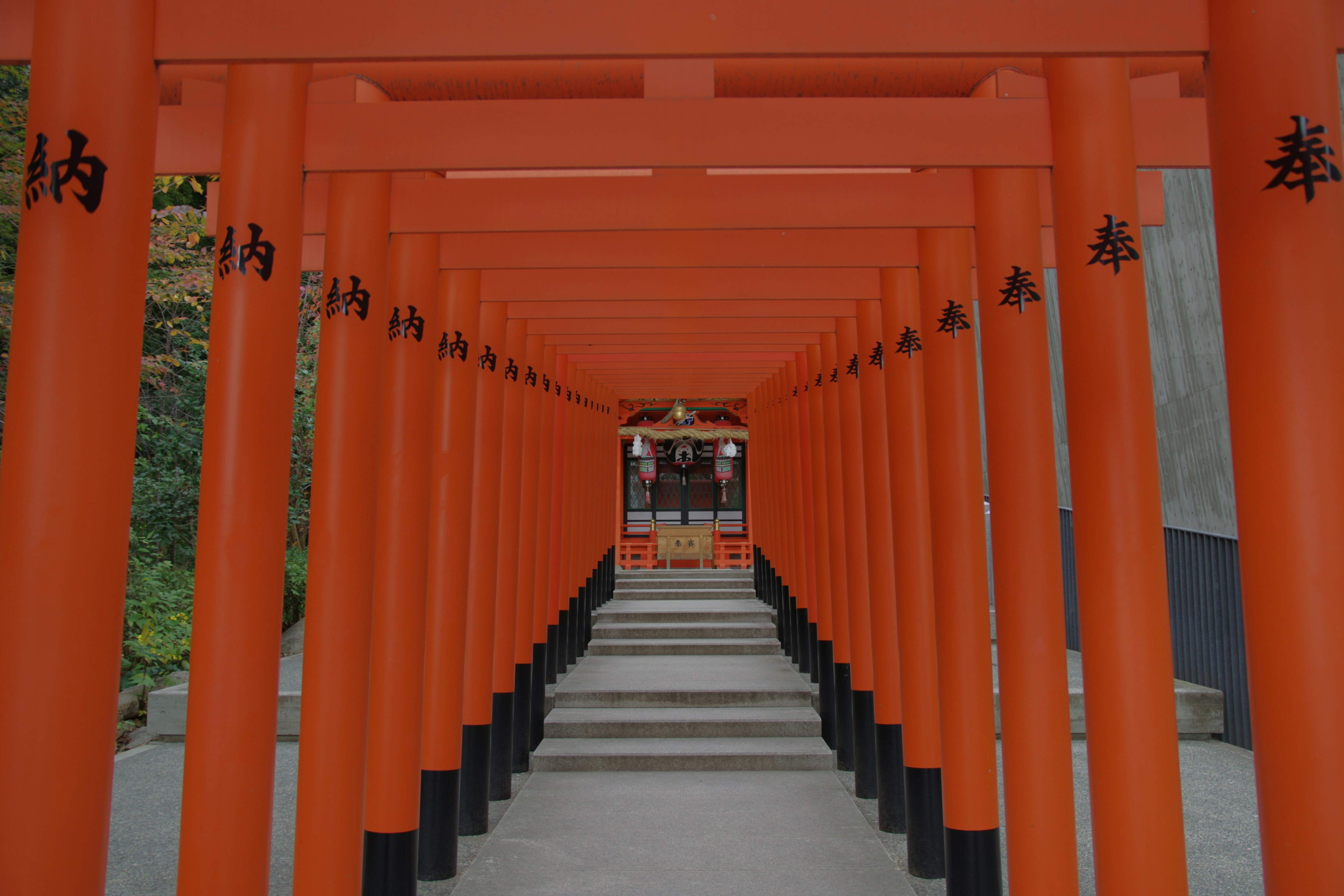 Fushimi Inari Shrine with thousands of red torii gates